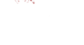 join-the-psycho-ward